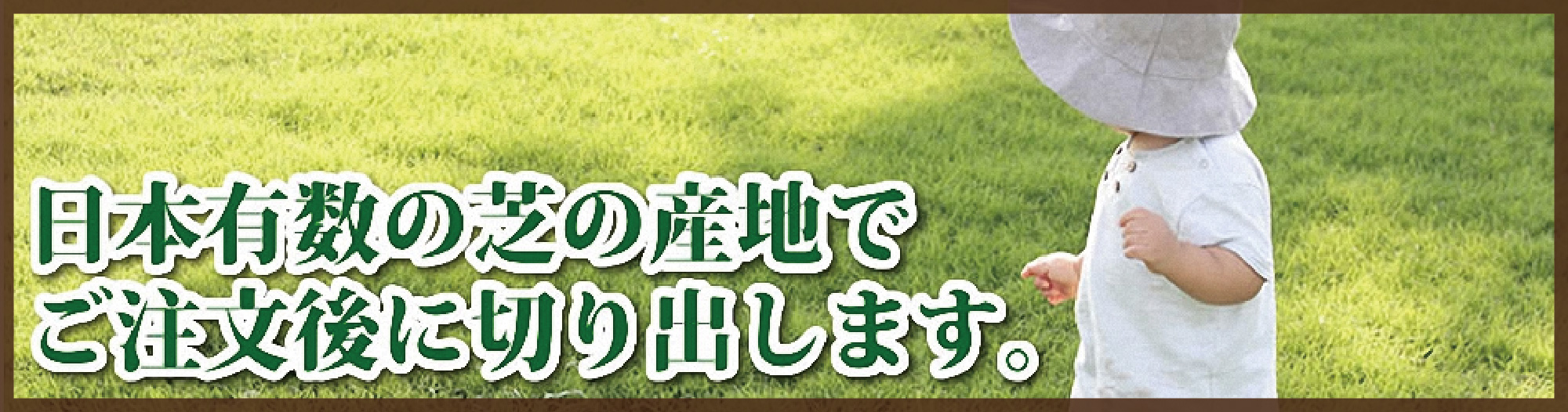 日本有数の芝の産地でご注文後に切り出します。